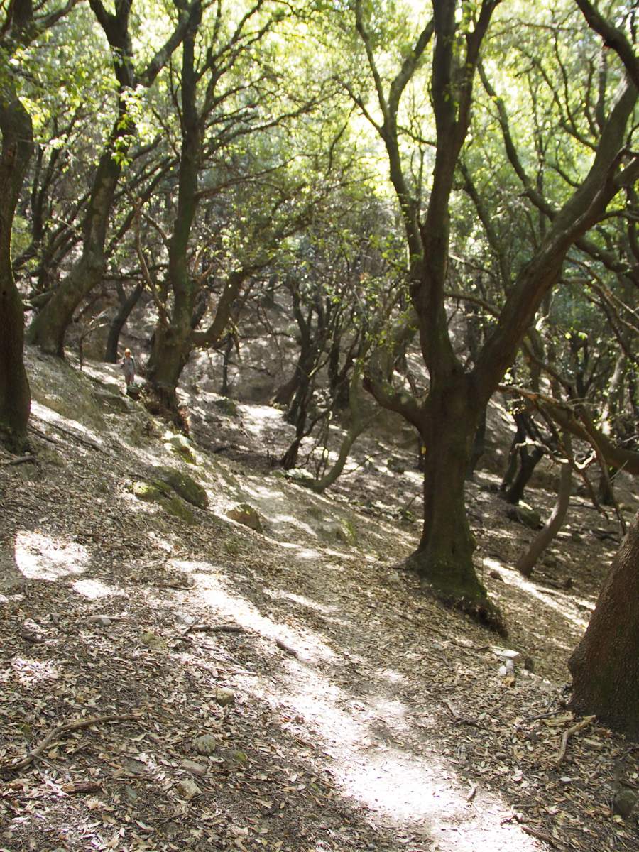Trek_Azilakas_10